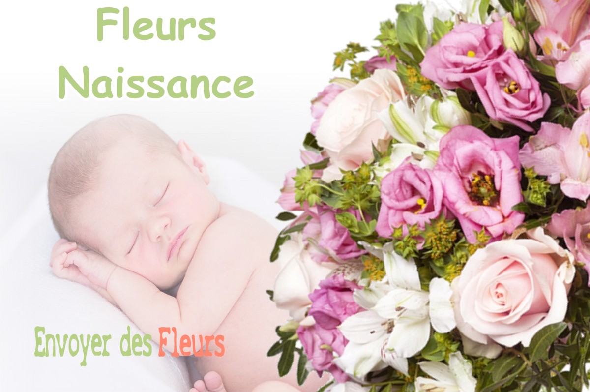 lIVRAISON FLEURS NAISSANCE à SAINT-PAUL-LES-DURANCE